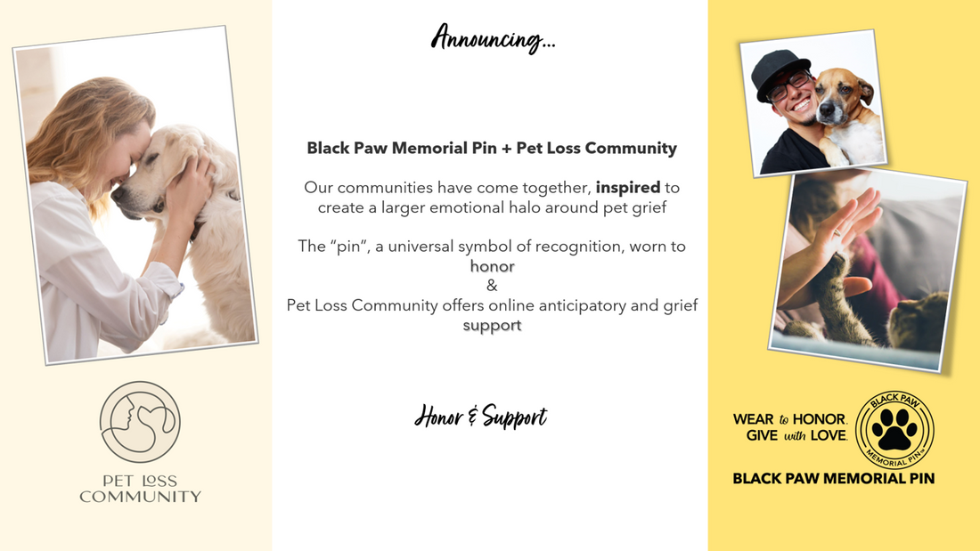 Black Paw Memorial Pin Announces Collaboration with Pet Loss Community