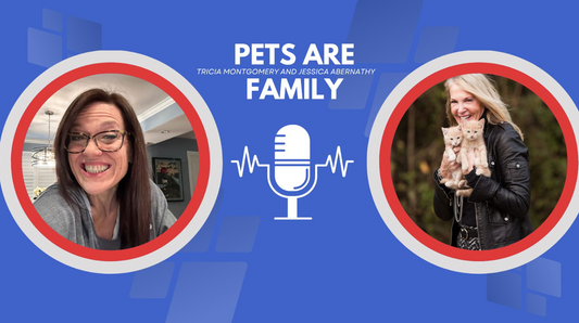 Black Paw CEO Hilarie Viener Featured on Pets are Family