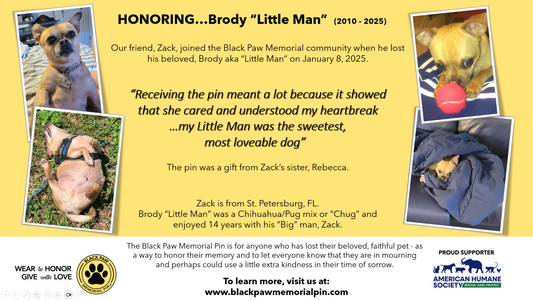Brody “Little Man” (2010 - 2025)